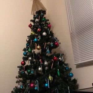 Meet your Posher, Tasha